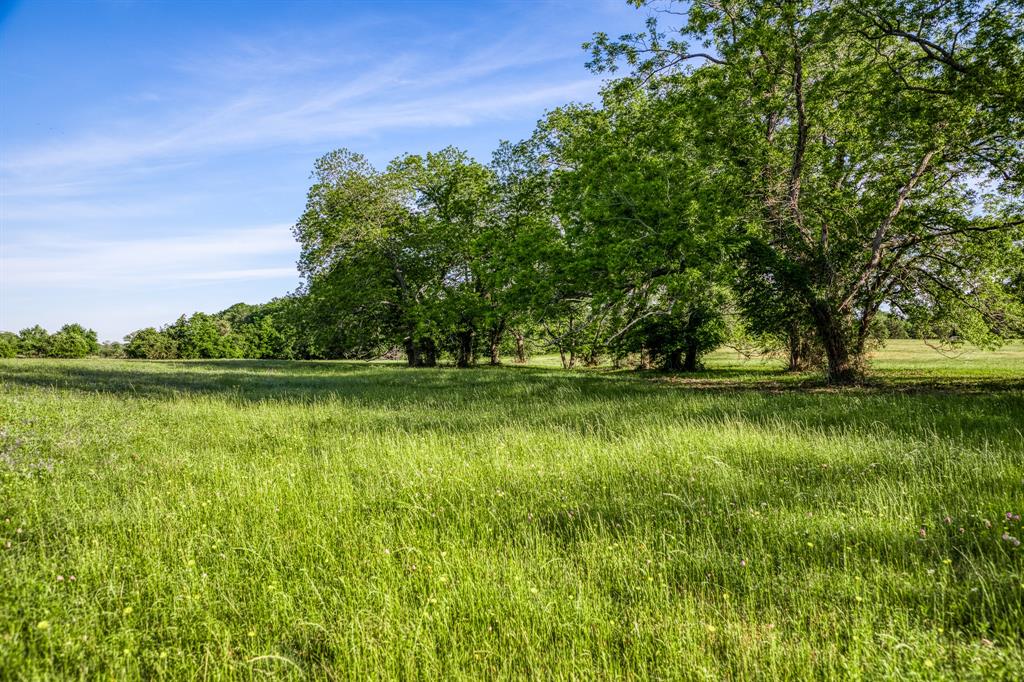 7101 Boehnemann Road, Brenham, Texas image 41