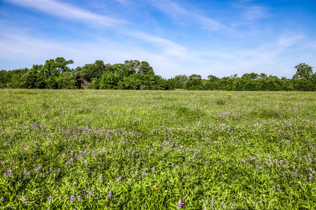 7101 Boehnemann Road, Brenham, Texas image 42