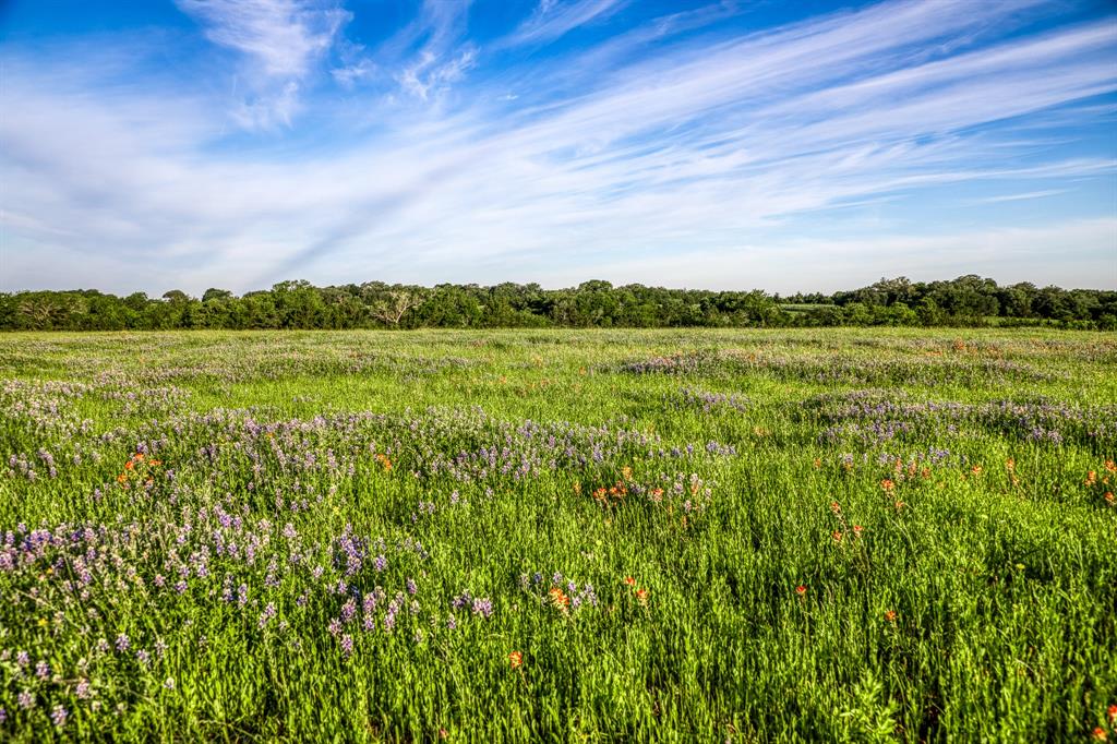 7101 Boehnemann Road, Brenham, Texas image 17