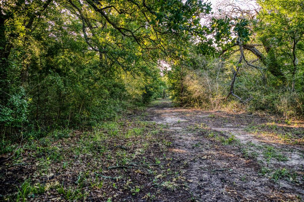 7101 Boehnemann Road, Brenham, Texas image 37