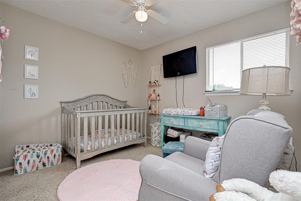 307 Countryside Drive, League City, Texas image 32