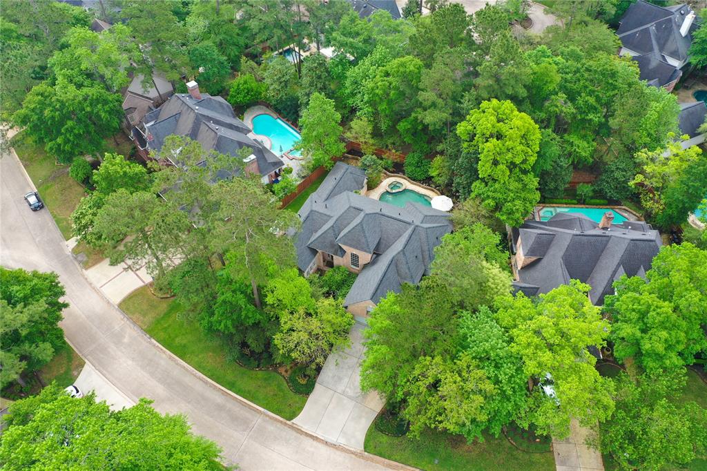 91 Wind Ridge Circle, The Woodlands, Texas image 1