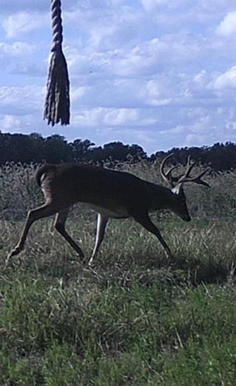 TBD Pr 1350, Centerville, Texas image 27