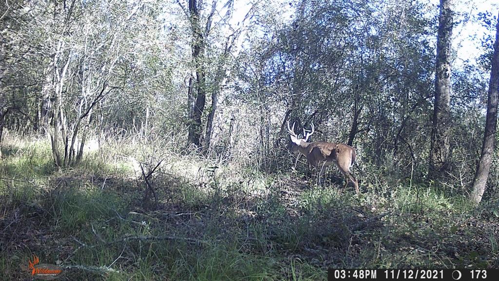 TBD Pr 1350, Centerville, Texas image 41