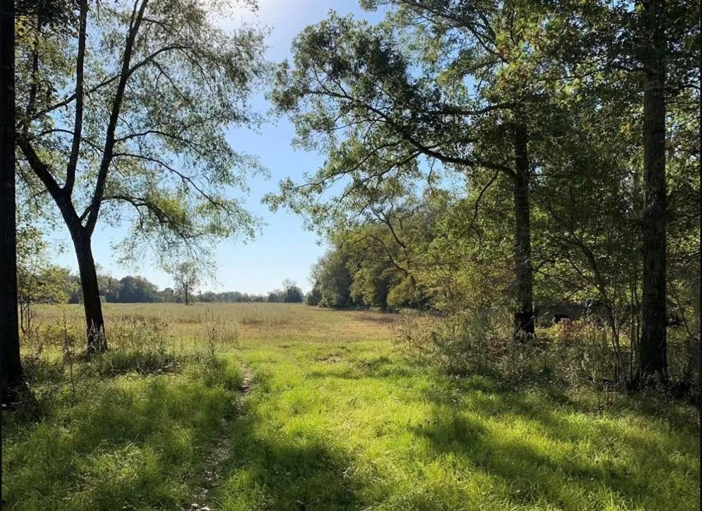 TBD Pr 1350, Centerville, Texas image 9