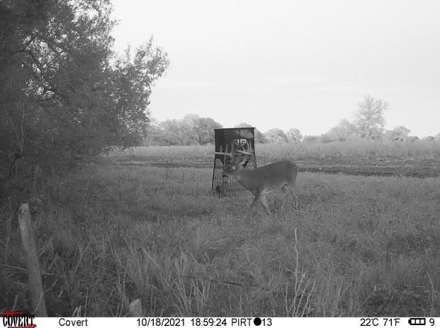 TBD Pr 1350, Centerville, Texas image 45