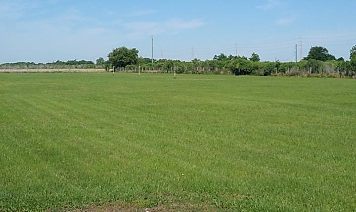 0000 Highway 36 Bypass, Rosenberg, Texas image 4