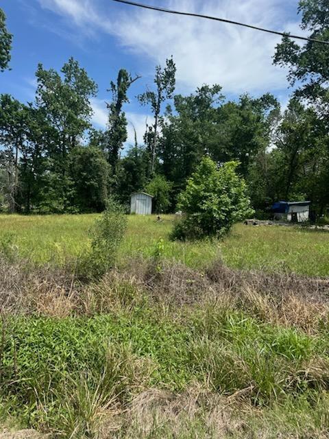 20887 Northgate Lane, Porter, Texas image 3