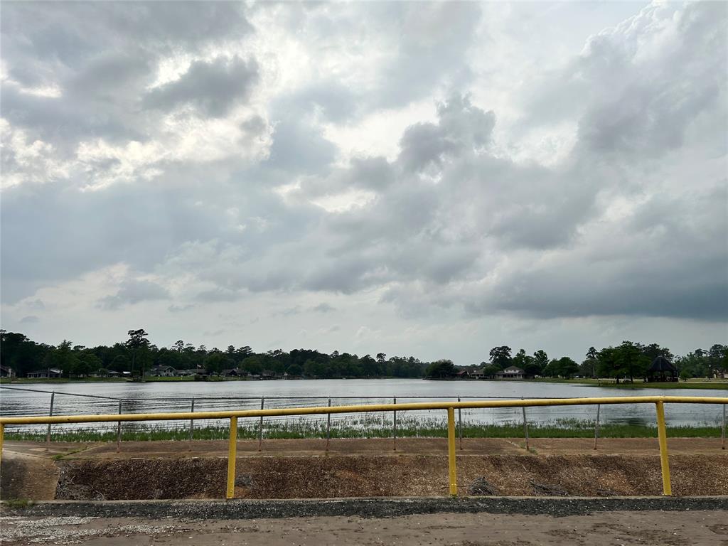LOT 10 Hornbeam Drive, Village Mills, Texas image 8