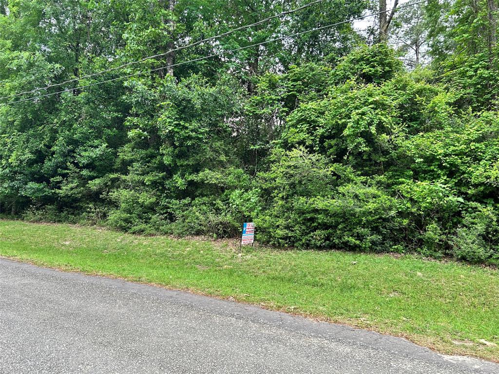 LOT 10 Hornbeam Drive, Village Mills, Texas image 3