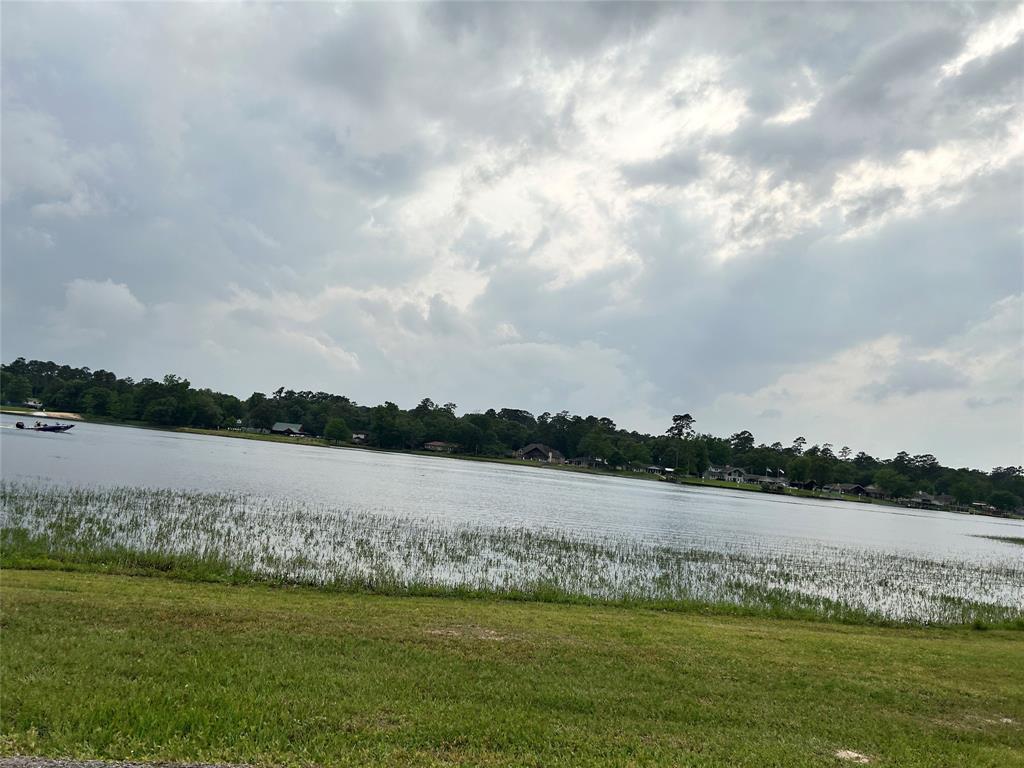LOT 10 Hornbeam Drive, Village Mills, Texas image 7