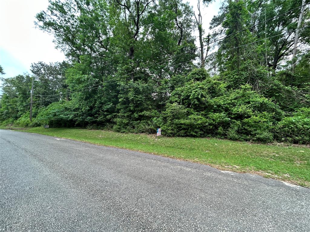 LOT 10 Hornbeam Drive, Village Mills, Texas image 4