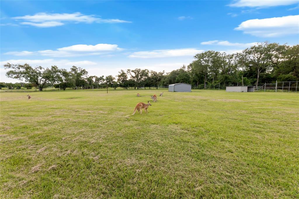 10285 Ferrill Creek Road Rd, Bryan, Texas image 34