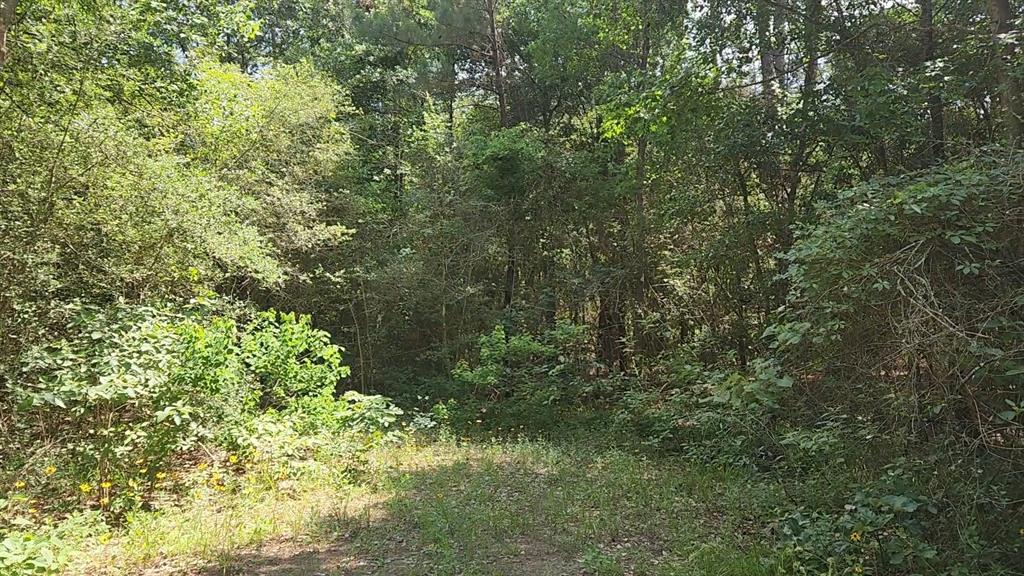 Lot 4 Cedar Court