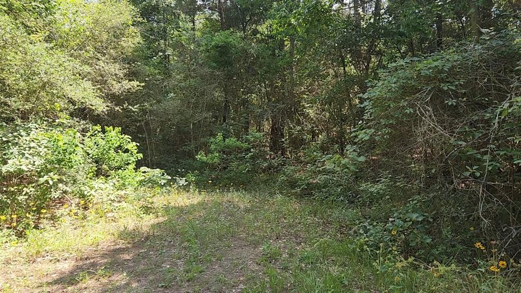 Lot 4 Cedar Court