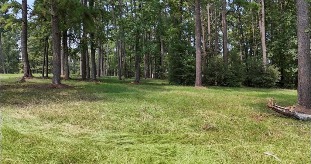 Lot 28 Kristen Circle, Huntsville, Texas image 2