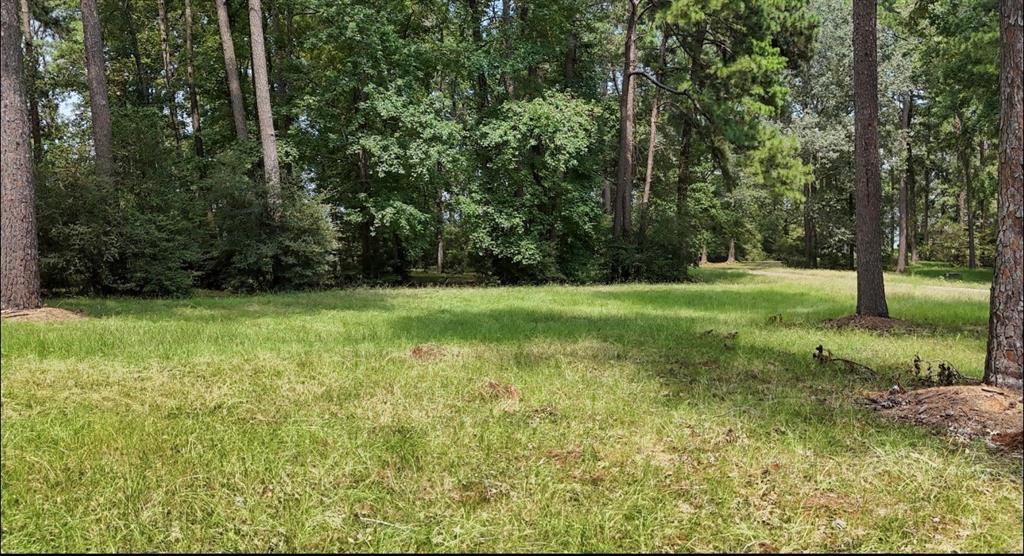 Lot 28 Kristen Circle, Huntsville, Texas image 1