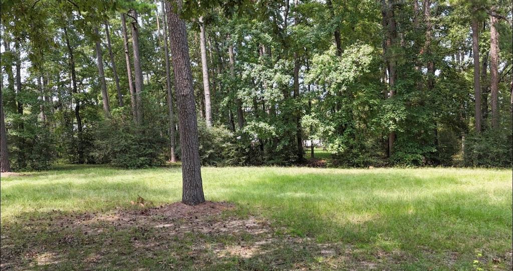 Lot 28 Kristen Circle, Huntsville, Texas image 3