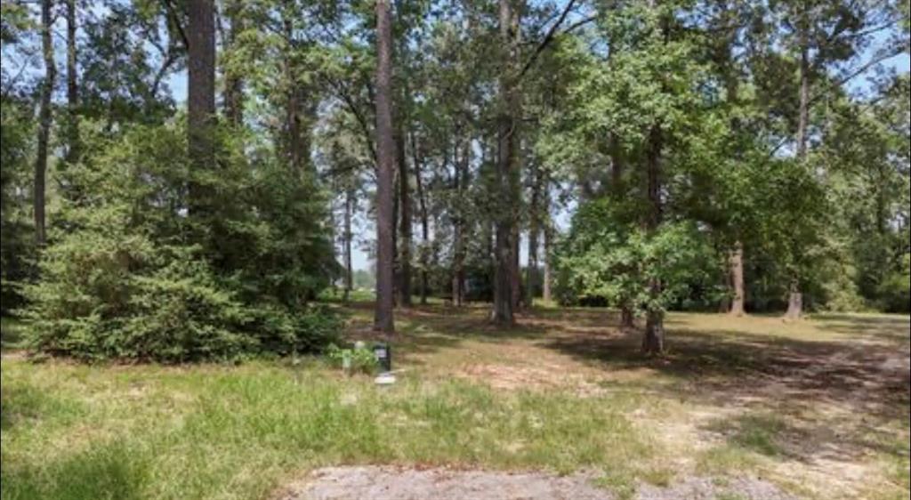 Lot 28 Kristen Circle, Huntsville, Texas image 6