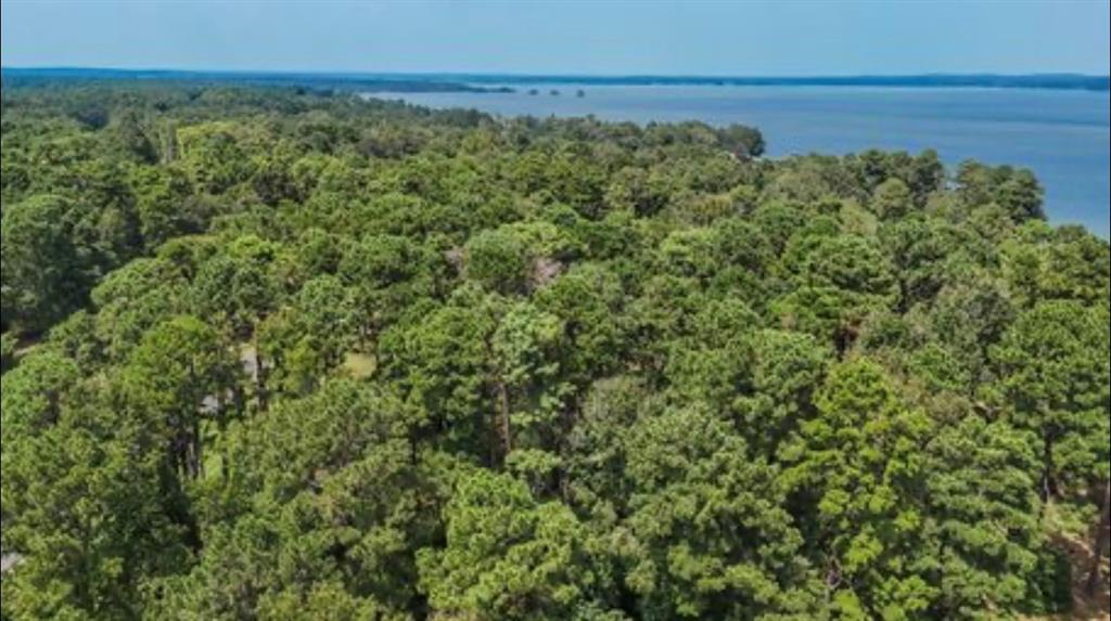 Lot 28 Kristen Circle, Huntsville, Texas image 12