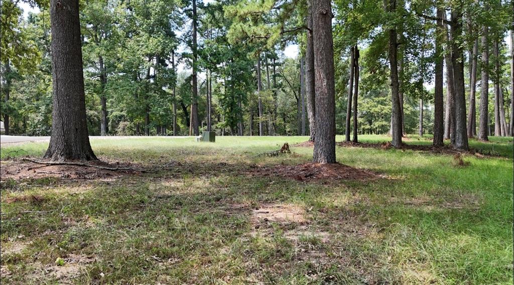 Lot 28 Kristen Circle, Huntsville, Texas image 5