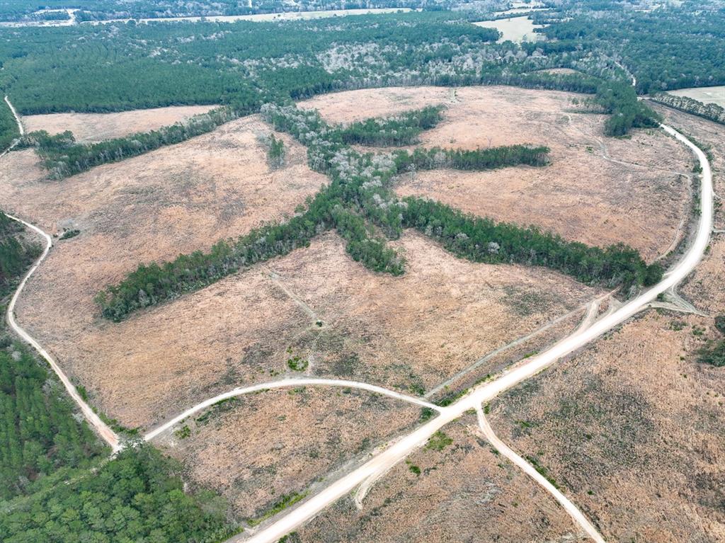 000 Hardin Hideout Rd, Moscow, Texas image 14