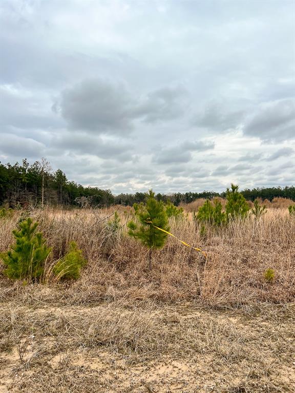 000 Hardin Hideout Rd, Moscow, Texas image 12