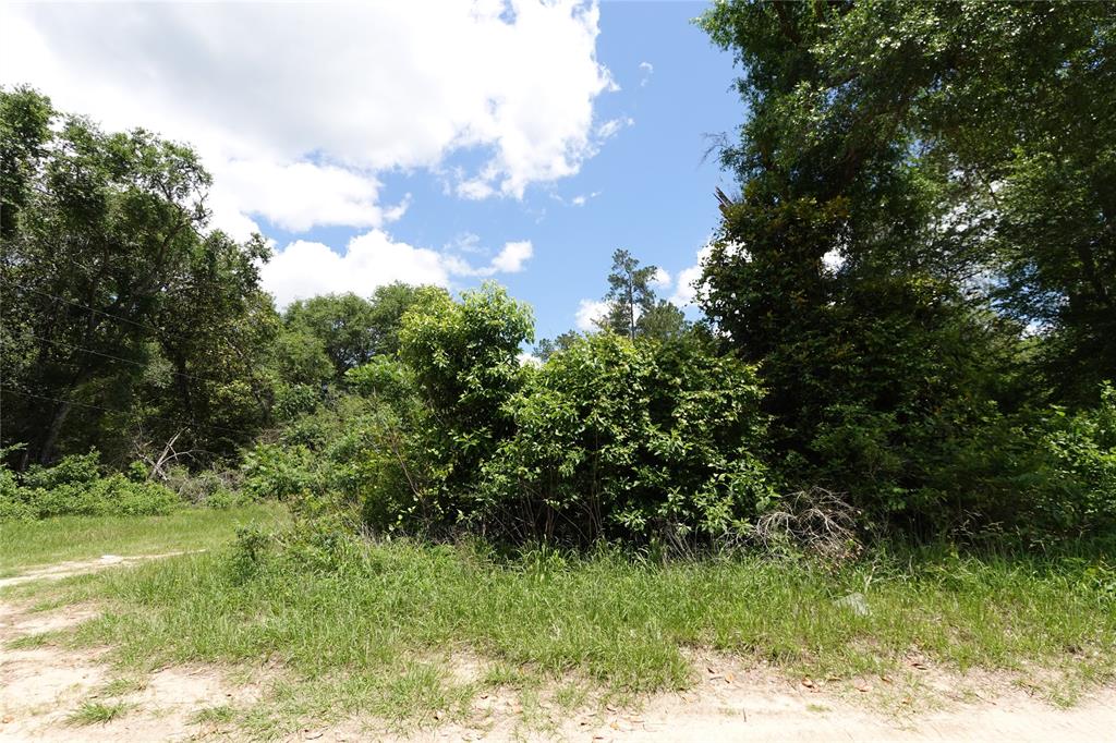 TBD Road 2731, Cleveland, Texas image 1