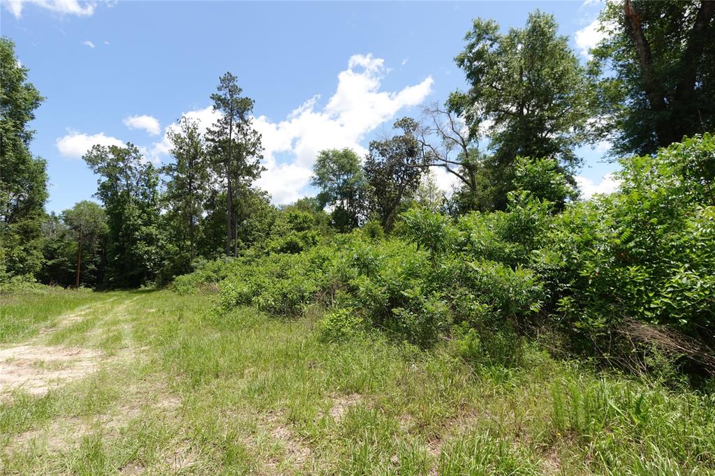 TBD Road 2731, Cleveland, Texas image 2