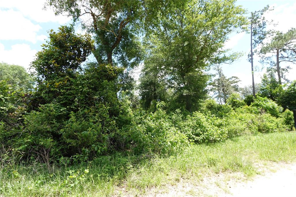 TBD Road 2731, Cleveland, Texas image 3