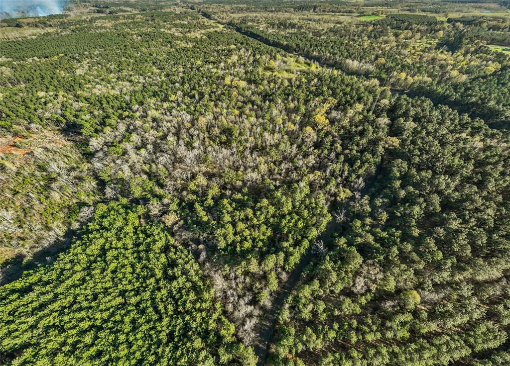 188 County Road 123, San Augustine, Texas image 5