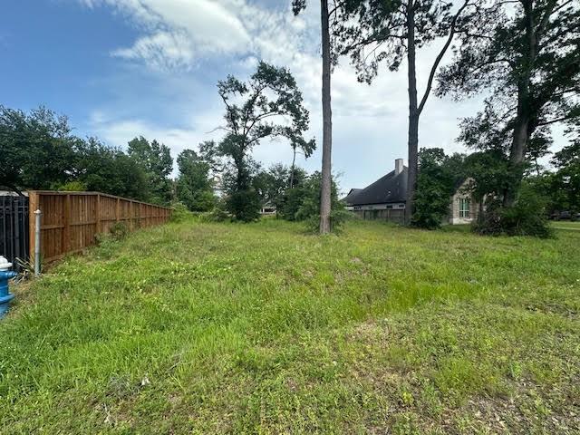 Wicklowe Street, Houston, Texas image 6