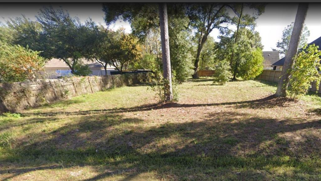 Wicklowe Street, Houston, Texas image 7