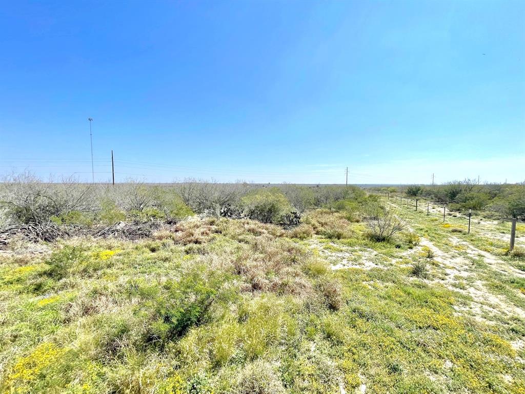 2991 N Highway 83, Roma, Texas image 37