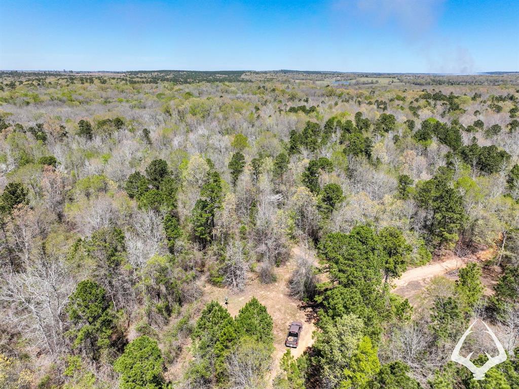 TBD 2 County Road 435 D, Laneville, Texas image 10