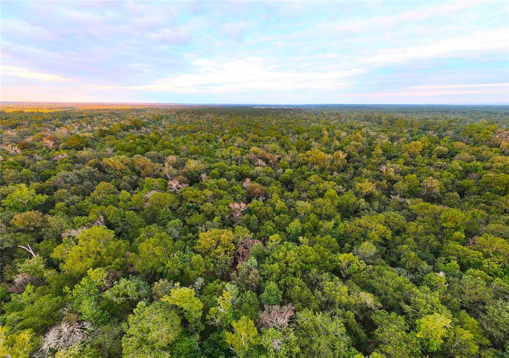 TBD Cr 112b, Devers, Texas image 11