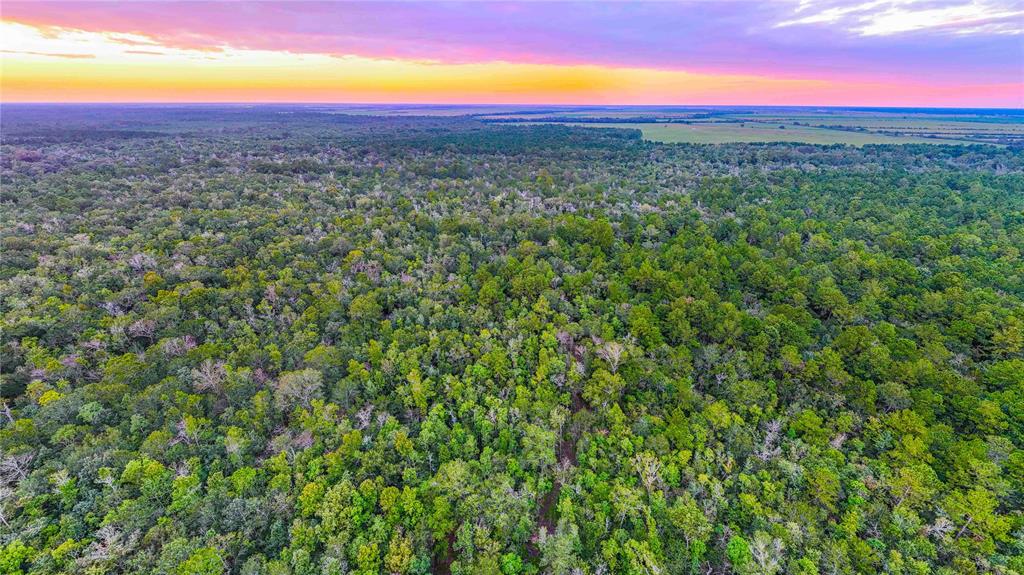 TBD Cr 112b, Devers, Texas image 9