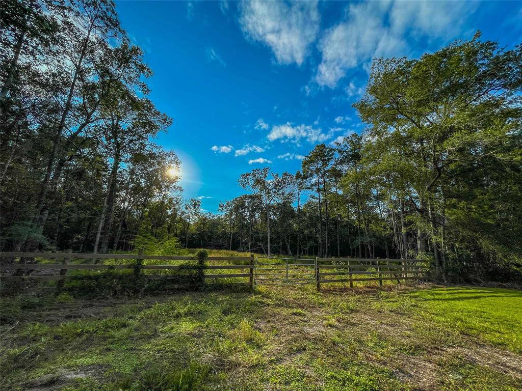 TBD Cr 112b, Devers, Texas image 12