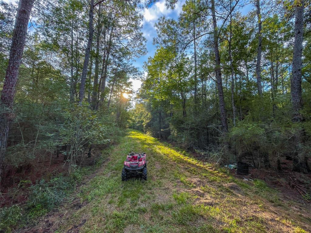 TBD Cr 112b, Devers, Texas image 8