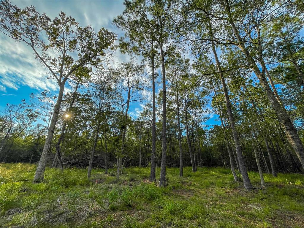 TBD Cr 112b, Devers, Texas image 16