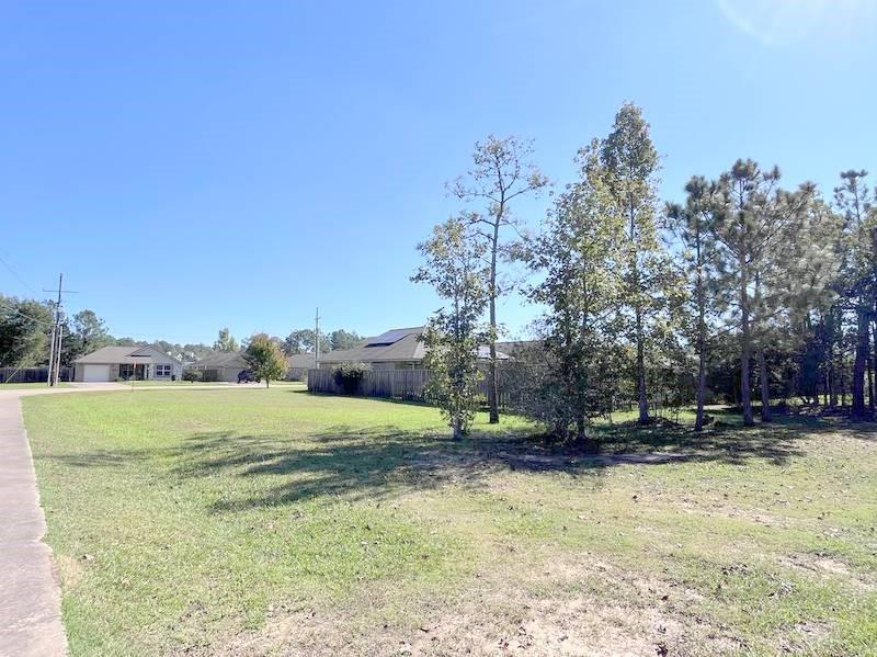 6630 Palace Drive, Lumberton, Texas image 33