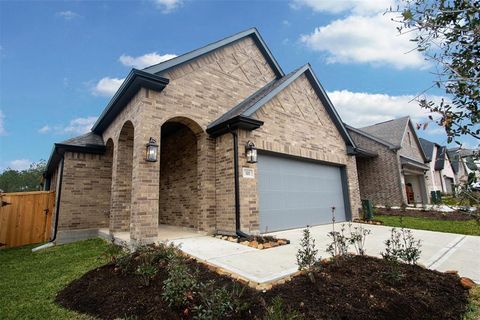 321 Andes Drive Montgomery TX 77316