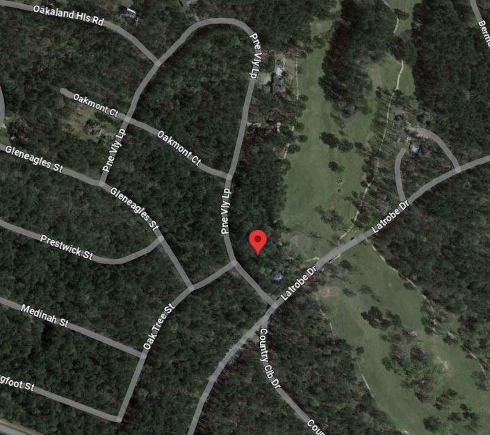 Pine Valley, Huntsville, Texas image 5