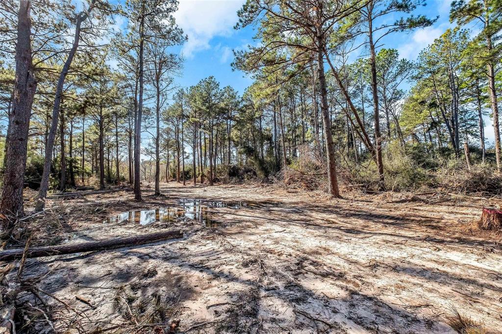 Hardy Rd 10133 Lt K Road, Houston, Texas image 3