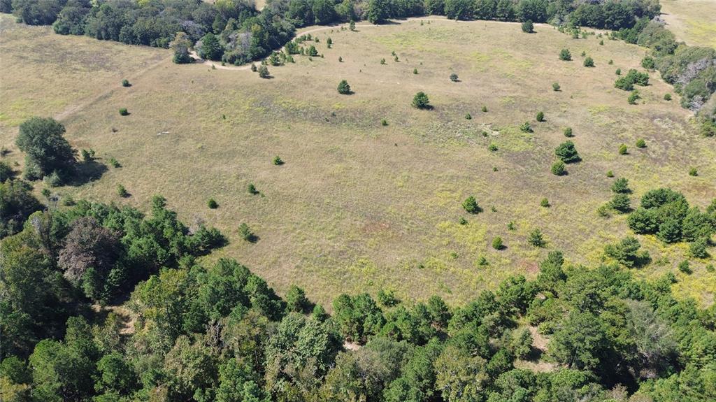 TBD Off Of Fm 2423, Grapeland, Texas image 2