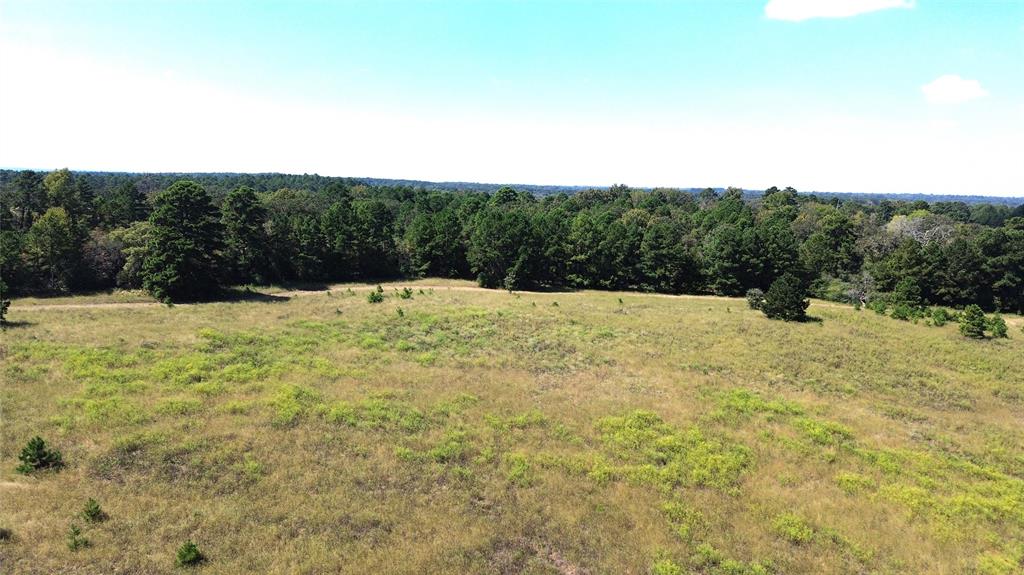 TBD Off Of Fm 2423, Grapeland, Texas image 7