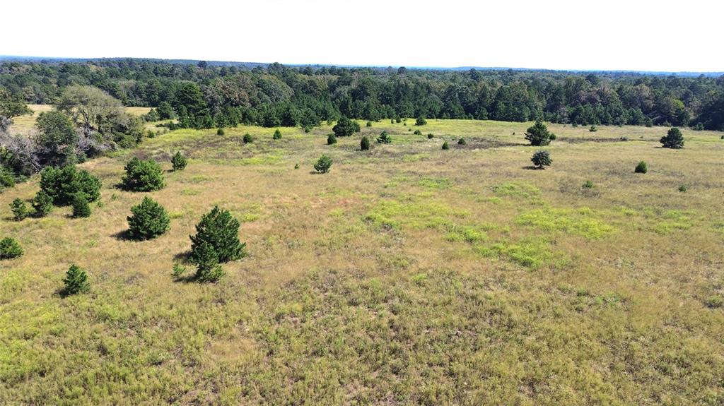 TBD Off Of Fm 2423, Grapeland, Texas image 8