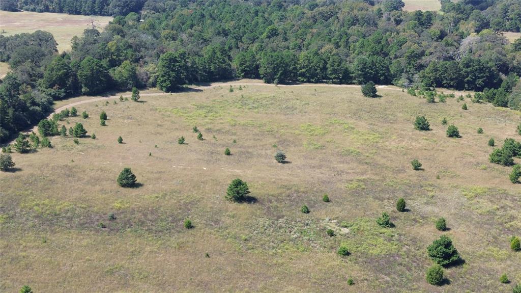 TBD Off Of Fm 2423, Grapeland, Texas image 6