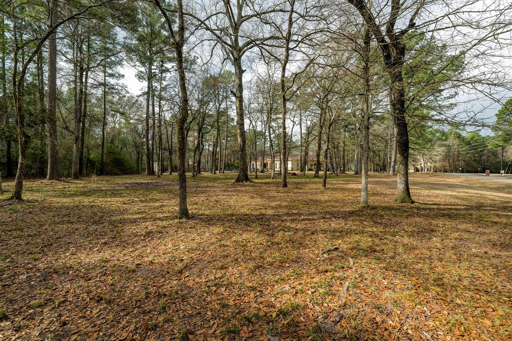 27118 Stagecoach Crossing Drive, Magnolia, Texas image 19