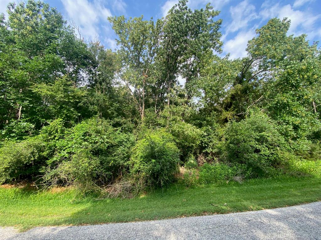 TBD8 Idlewilde Drive, Onalaska, Texas image 3